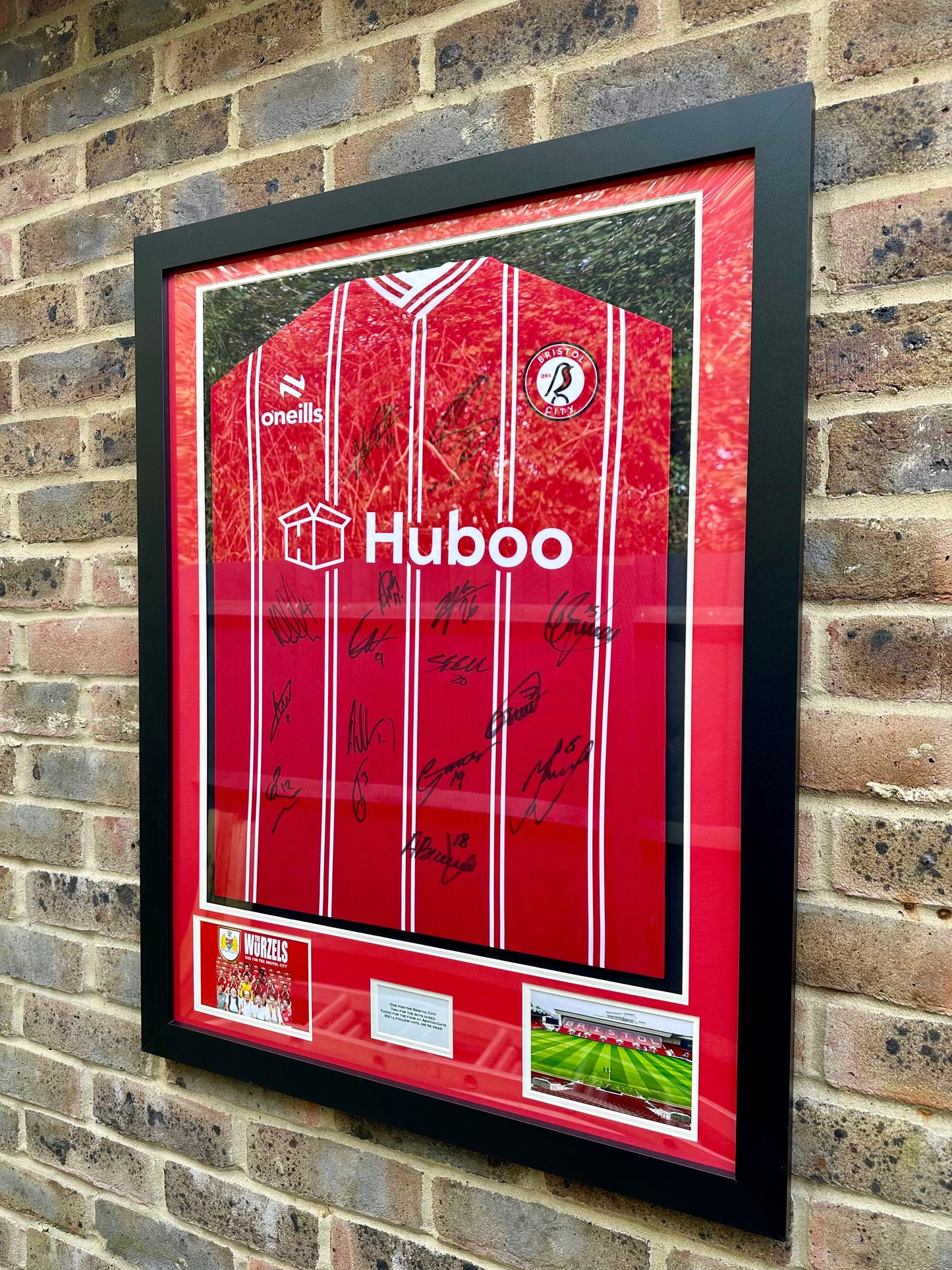 Bristol city signed Football shirt framing