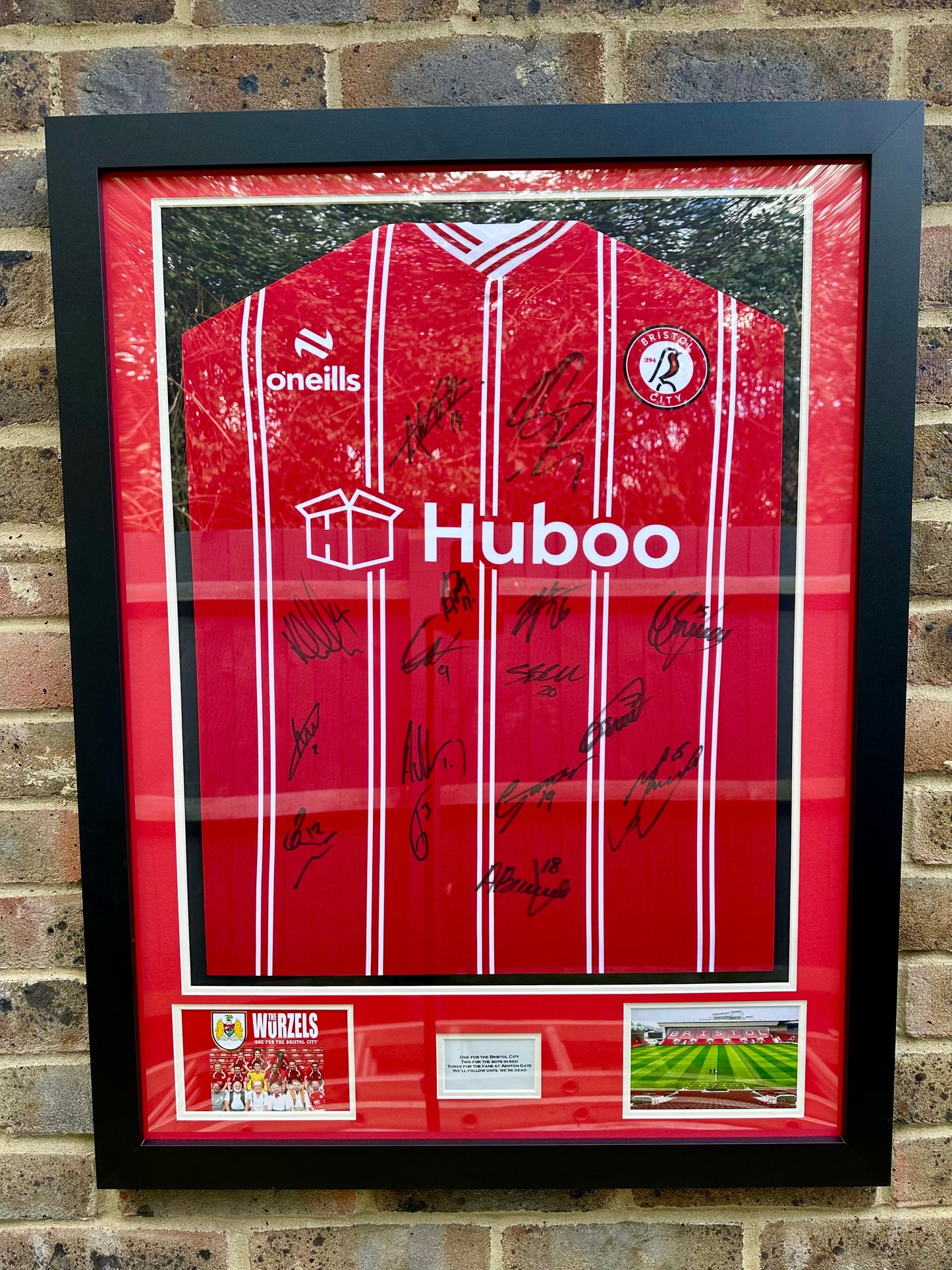 Bristol city signed Football shirt framing