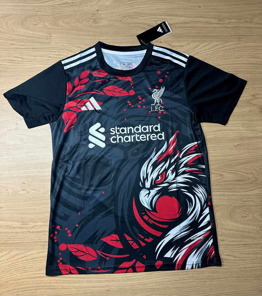 Liverpool Concept Football Shirt Memorabilia Canvas 2025