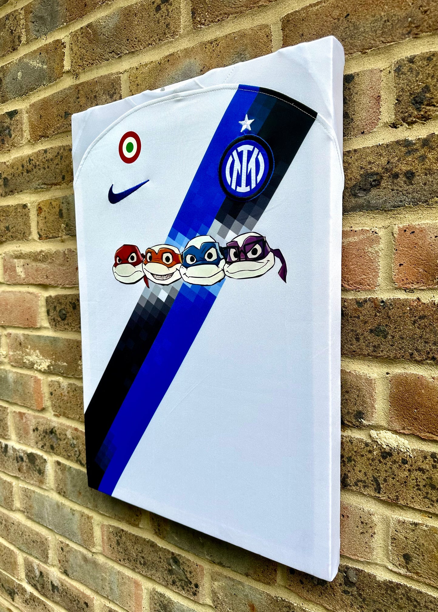 Inter Milan Away 2023/24 TNMNT Special Edition Football Shirt Memorabilia Canvas