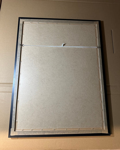 Football shirt frame back