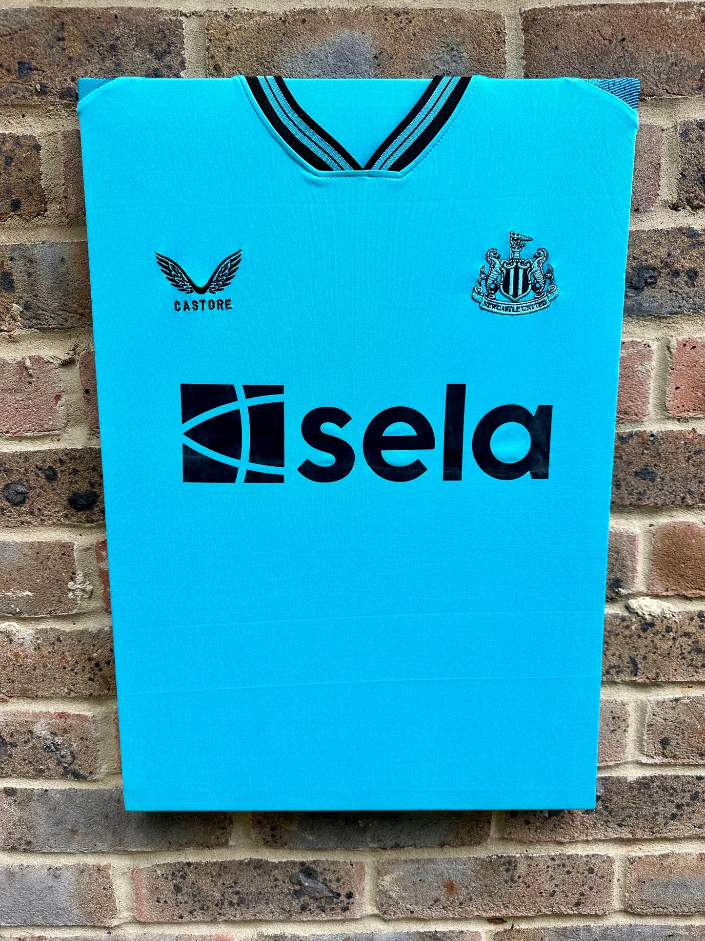 Newcastle Home Goalkeeper 2023/24 Shirt Memorabilia Canvas