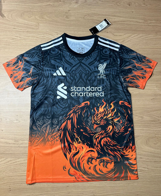 Liverpool Concept Football Shirt Memorabilia Canvas 2025